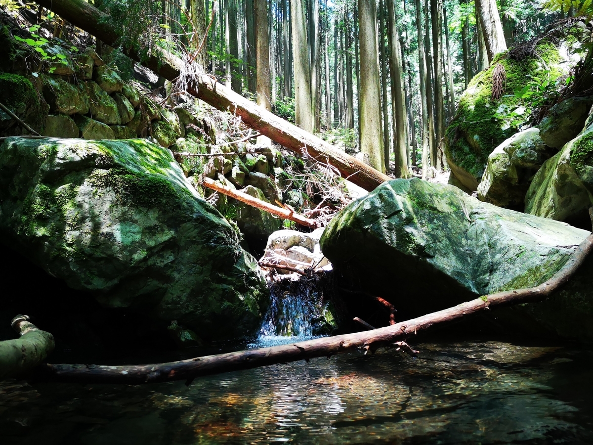 f:id:Yokumiru:20200930132200j:plain