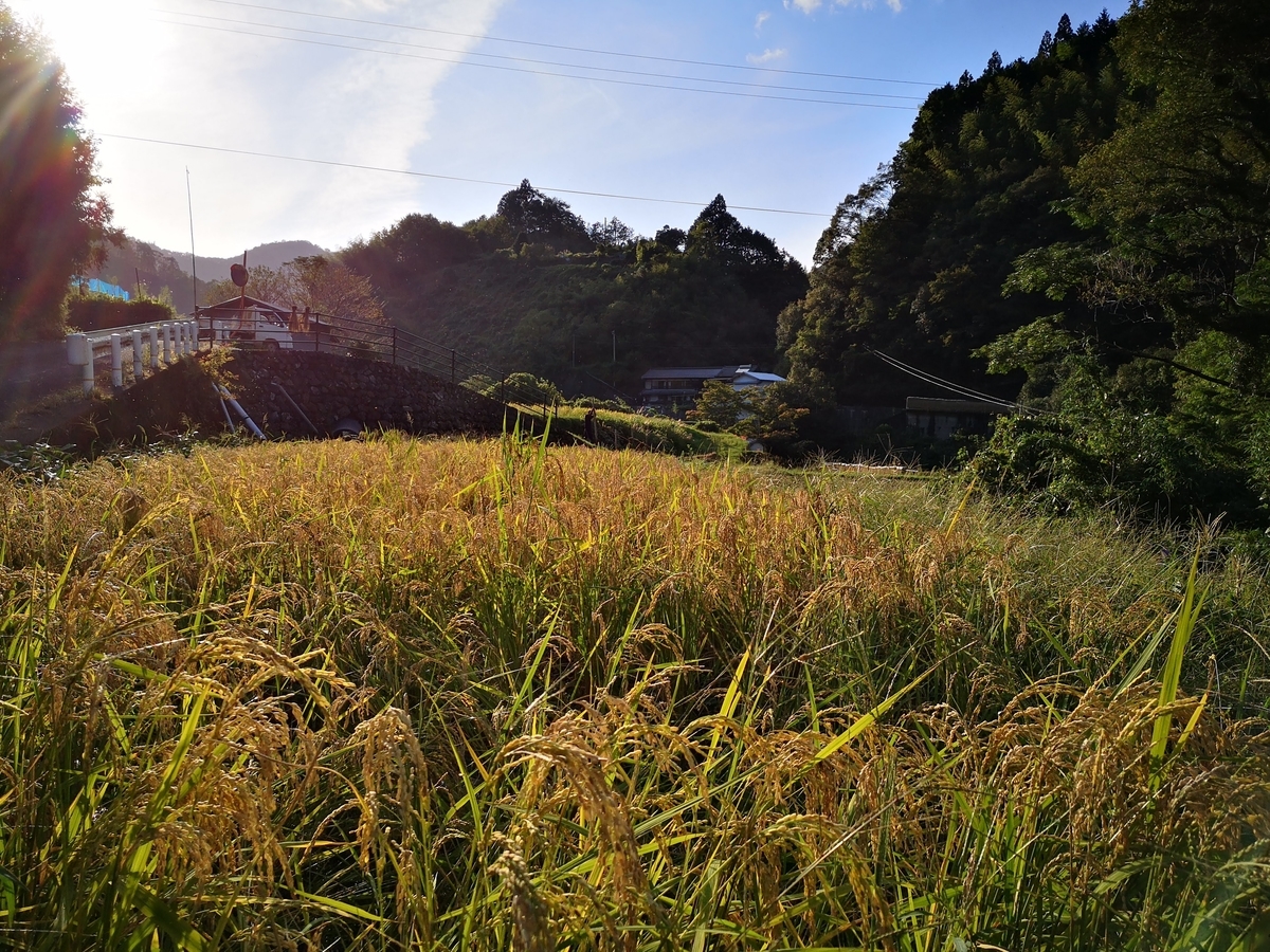 f:id:Yokumiru:20201023123639j:plain