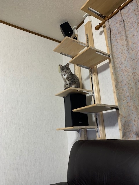 f:id:YomeBare:20200623111523j:plain f:id:YomeBare:20200623111523j:plain