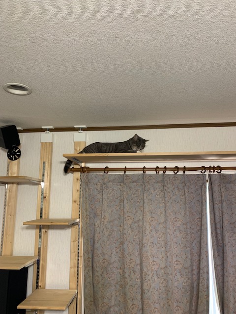 f:id:YomeBare:20200720111523j:plain f:id:YomeBare:20200720111523j:plain