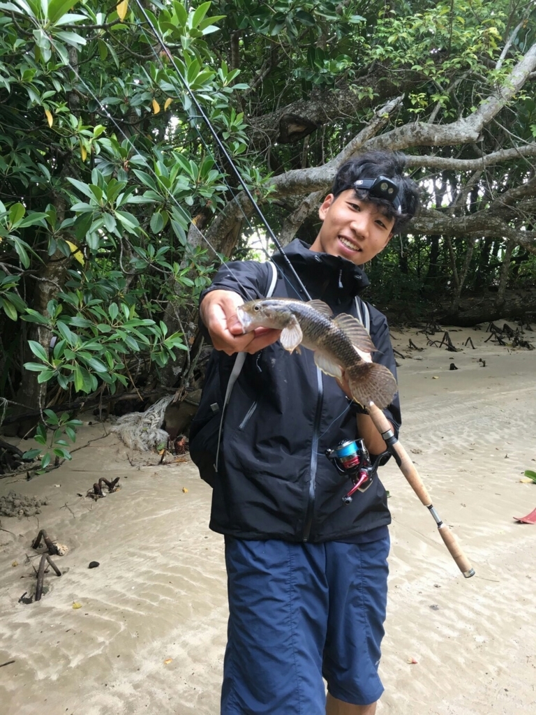 f:id:Yonagi:20180711214454j:plain f:id:Yonagi:20180711214454j:plain