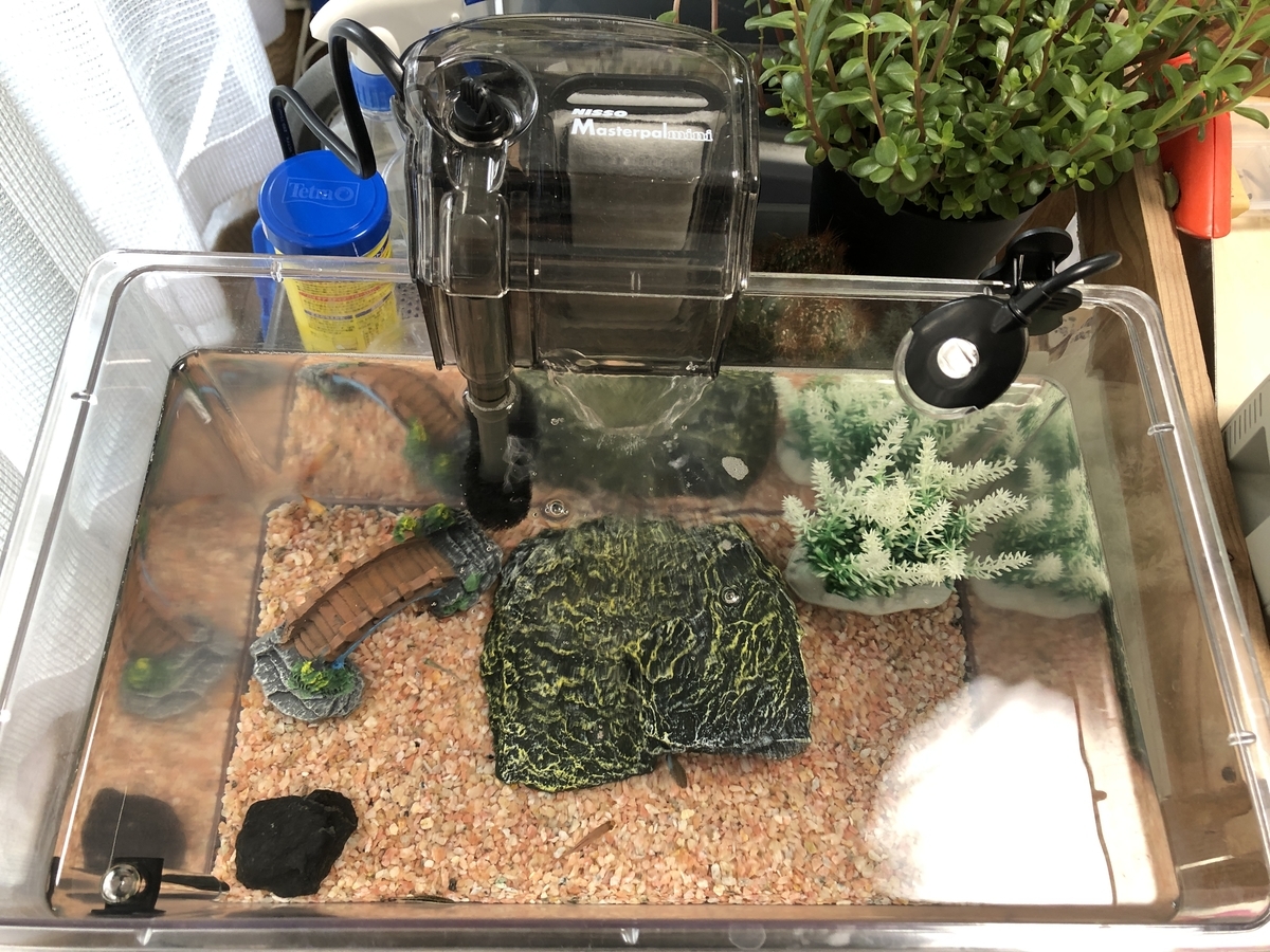 f:id:Yoneku:20190911153317j:plain f:id:Yoneku:20190911153317j:plain