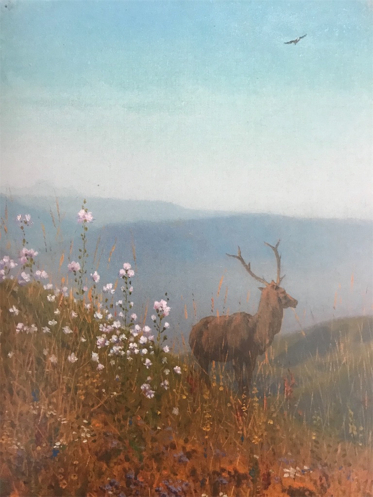 f:id:YoroCon:20181125004154j:image