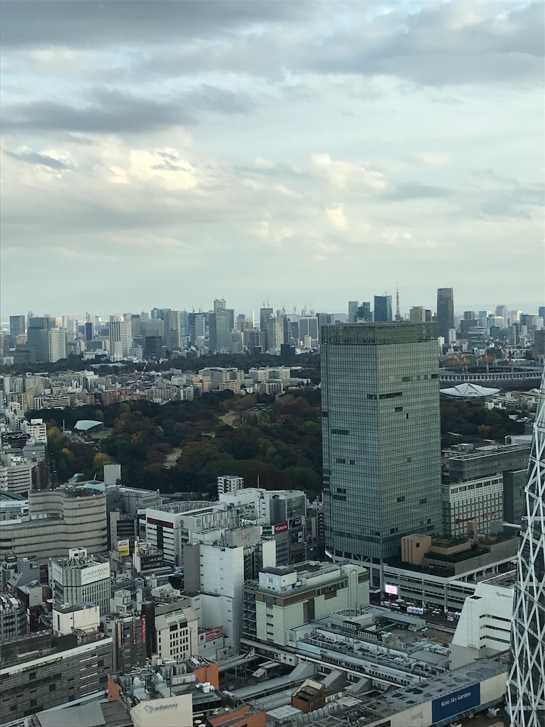 f:id:YoroCon:20181204195817j:image