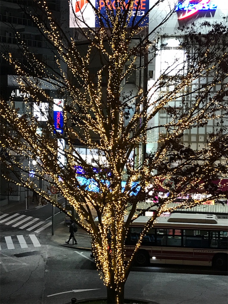 f:id:YoroCon:20181209155213j:image