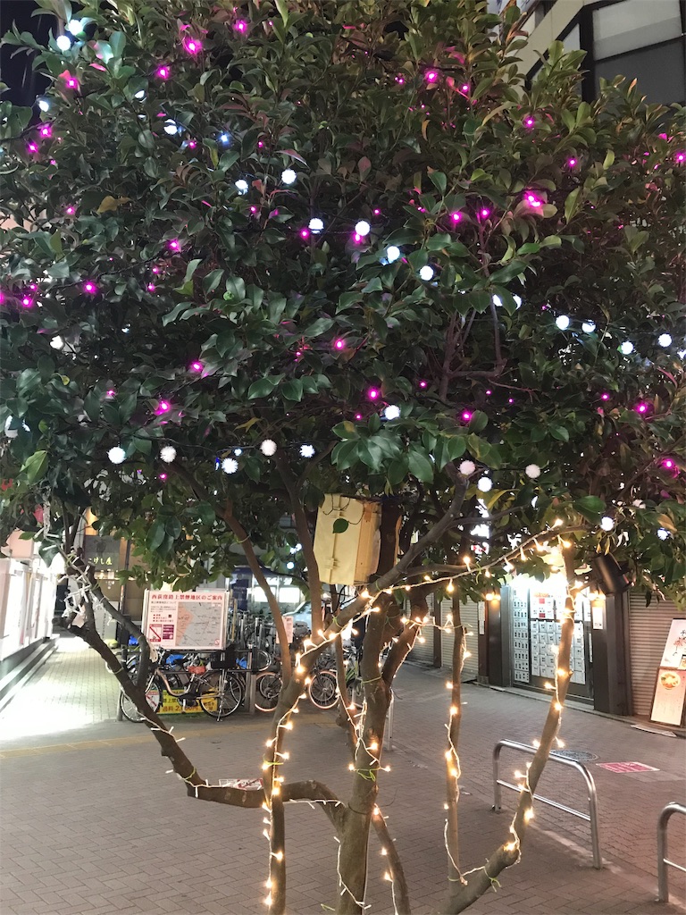 f:id:YoroCon:20181210002327j:image