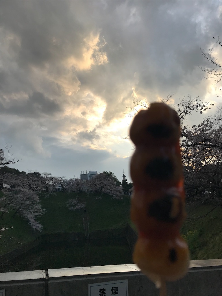 f:id:YoroCon:20190331205259j:image