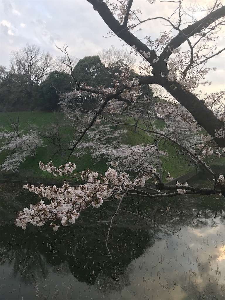 f:id:YoroCon:20190331205303j:image