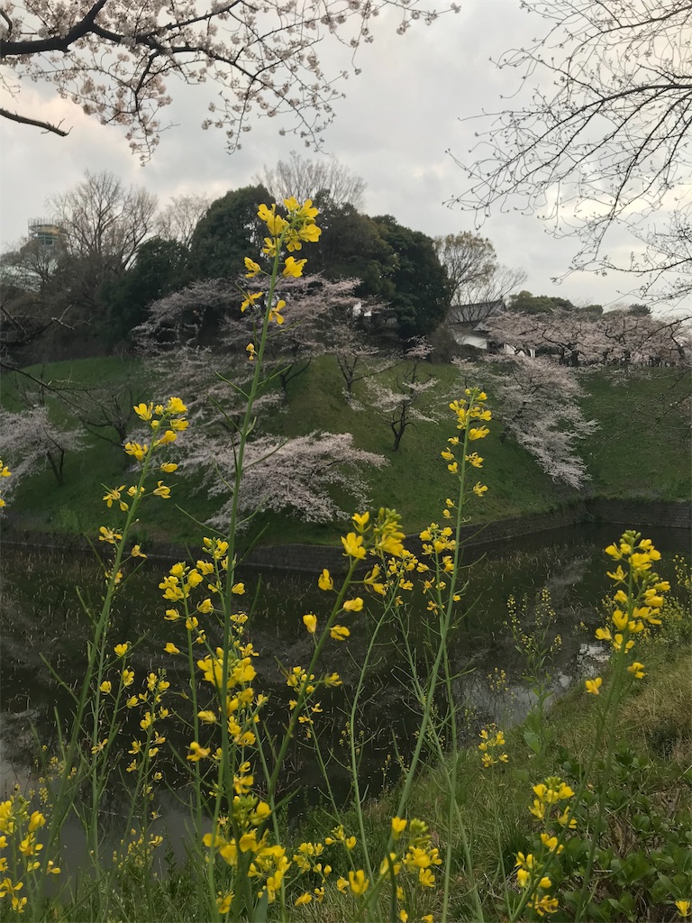 f:id:YoroCon:20190331205319j:image