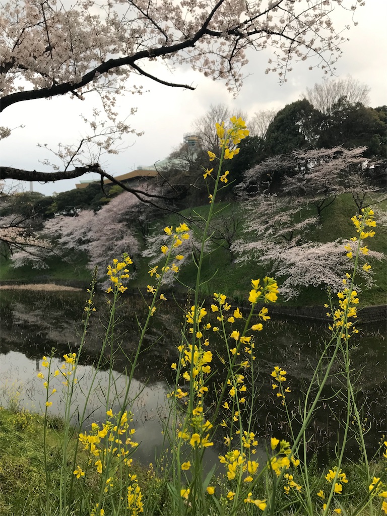 f:id:YoroCon:20190331205323j:image