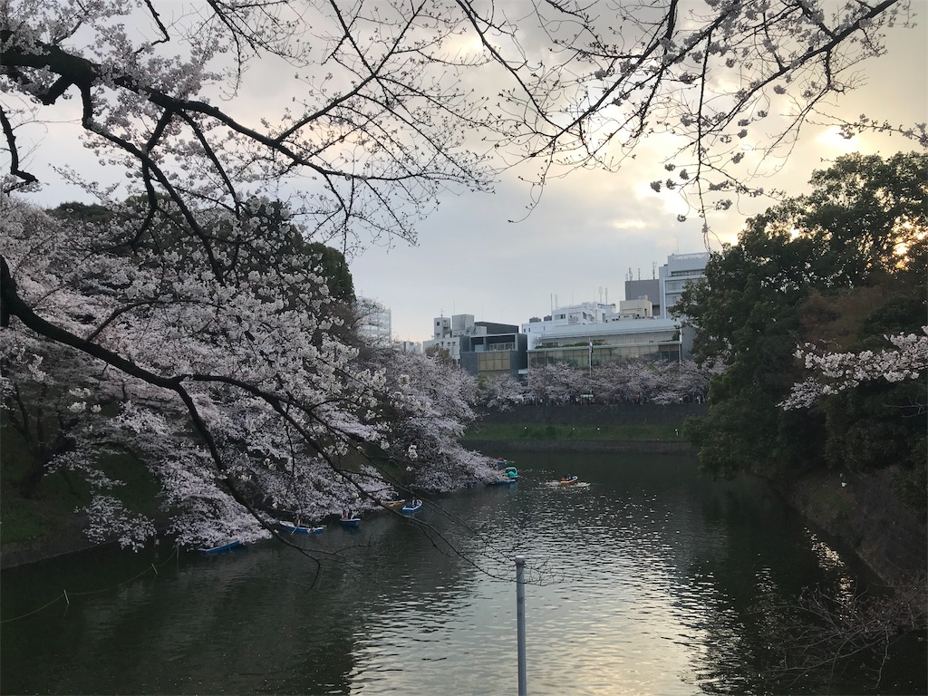 f:id:YoroCon:20190331205328j:image