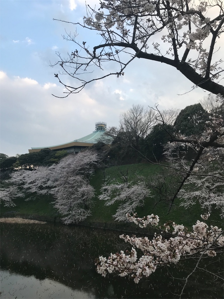 f:id:YoroCon:20190331211059j:image