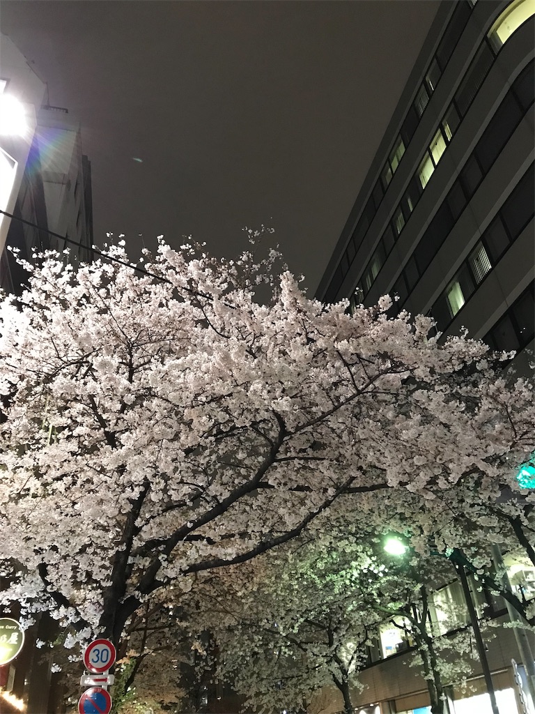 f:id:YoroCon:20190403004140j:image