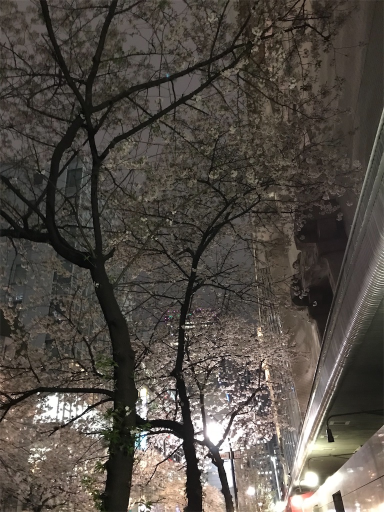 f:id:YoroCon:20190403004201j:image