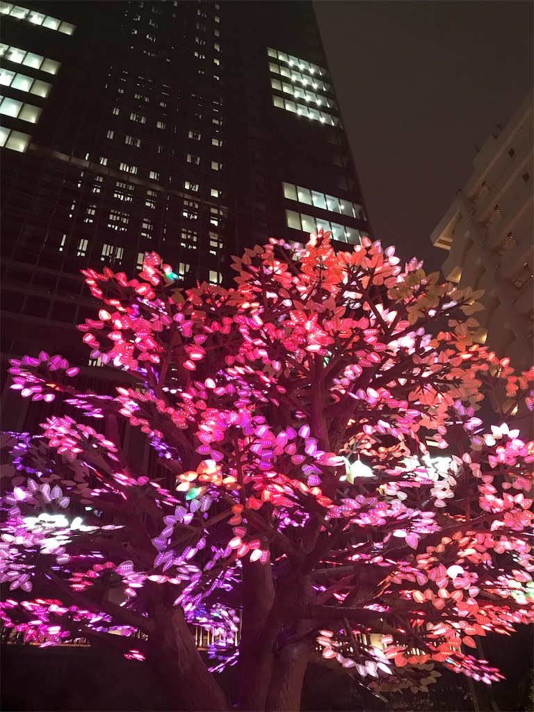 f:id:YoroCon:20190403004210j:image