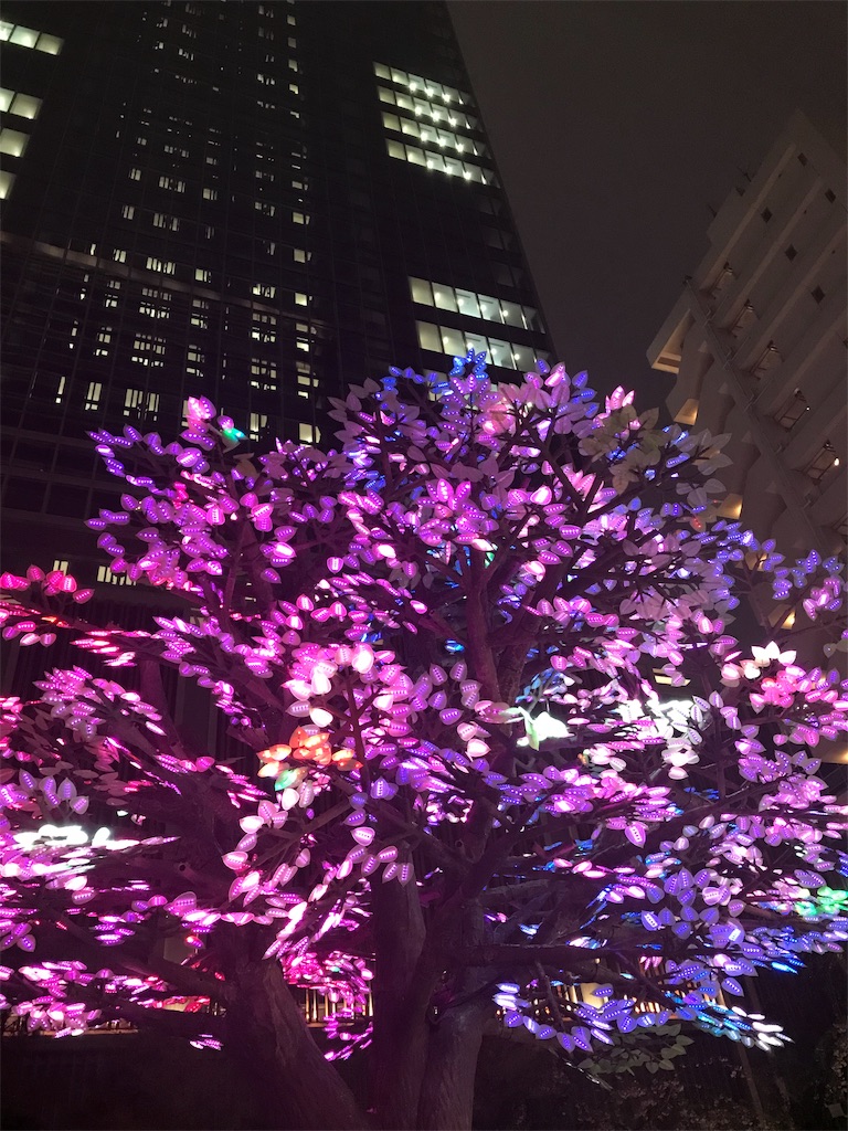 f:id:YoroCon:20190403004227j:image