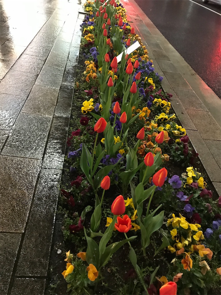 f:id:YoroCon:20190403013830j:image