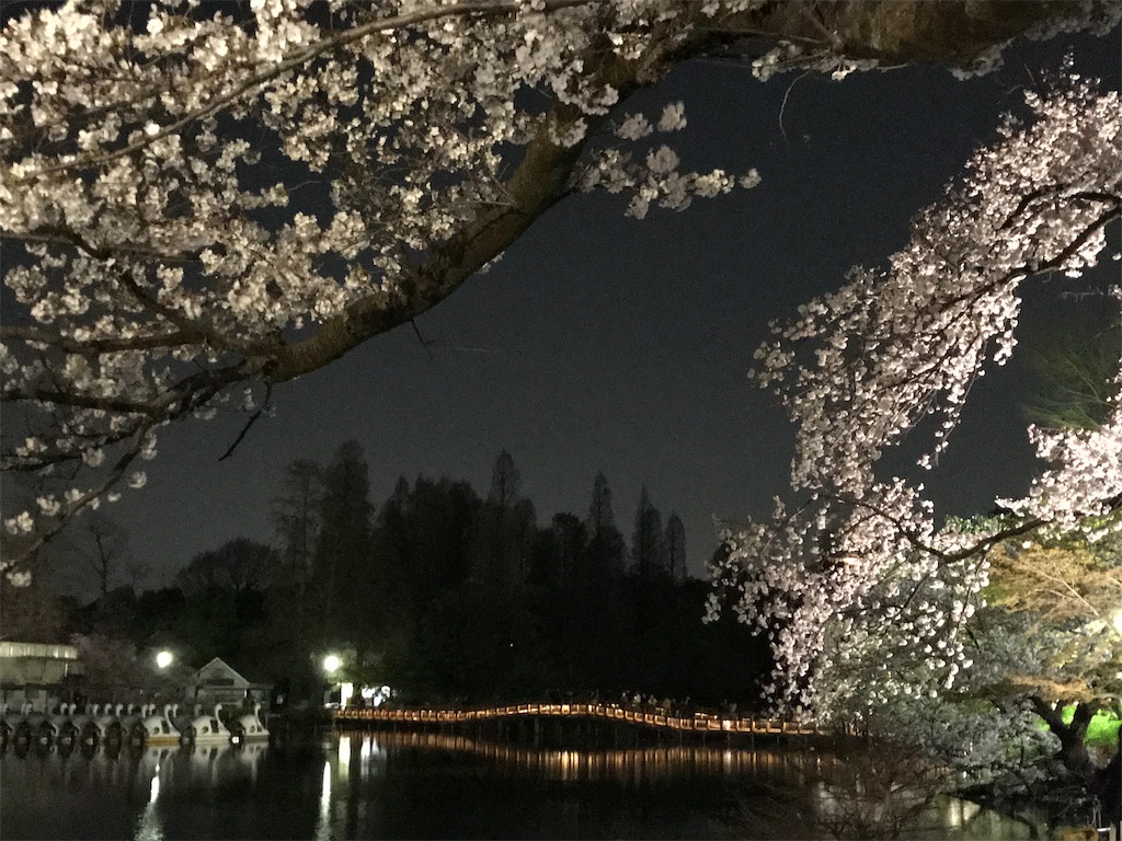 f:id:YoroCon:20190405220801j:image