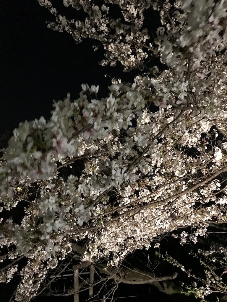 f:id:YoroCon:20190405220807j:image