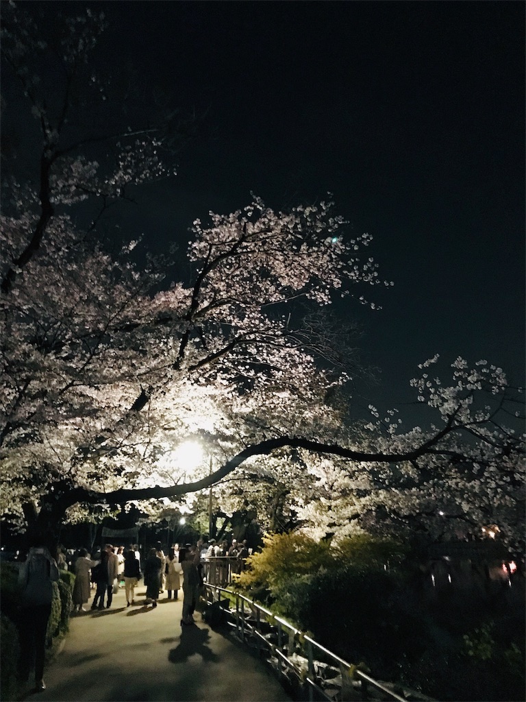 f:id:YoroCon:20190405220811j:image