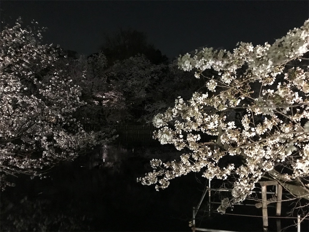 f:id:YoroCon:20190405220823j:image