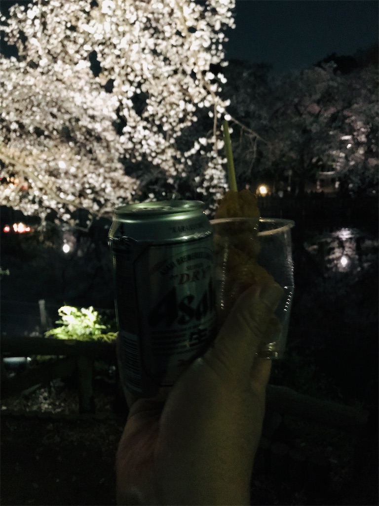 f:id:YoroCon:20190405221026j:image