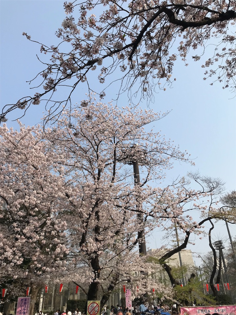 f:id:YoroCon:20190407223750j:image