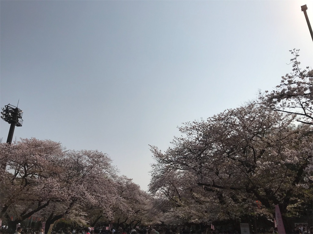 f:id:YoroCon:20190407223810j:image