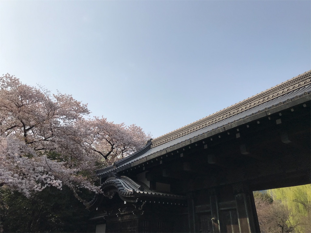 f:id:YoroCon:20190407233325j:image