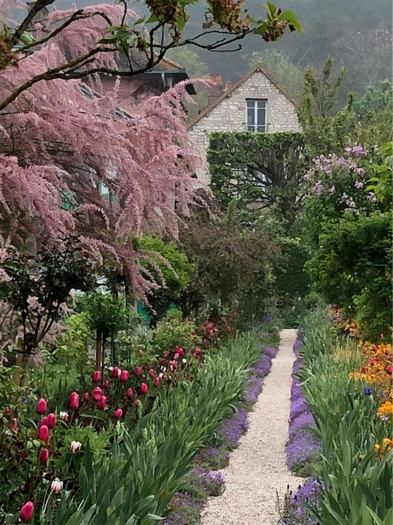 f:id:YoroCon:20190504223942j:image