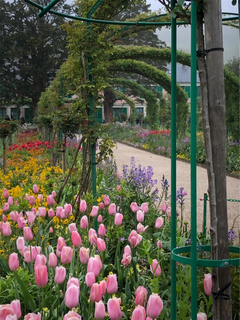 f:id:YoroCon:20190504223945j:image