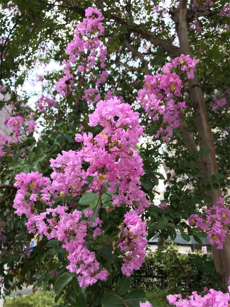 f:id:YoroCon:20190908031413j:image f:id:YoroCon:20190908031413j:image