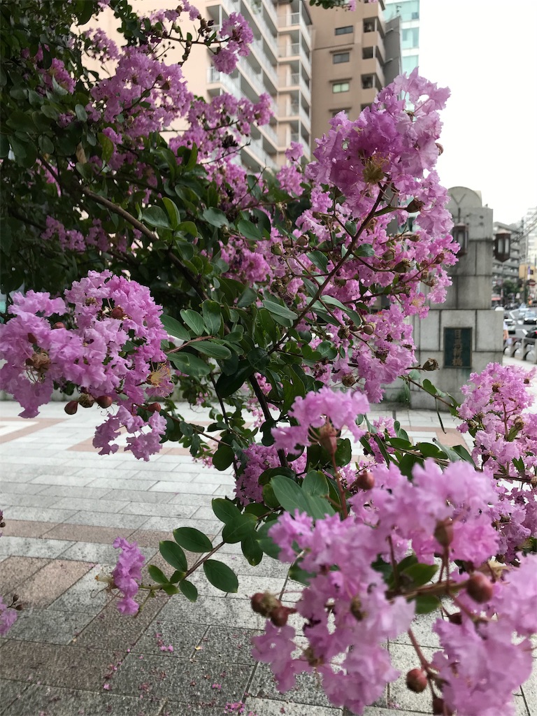 f:id:YoroCon:20190908031448j:image f:id:YoroCon:20190908031448j:image