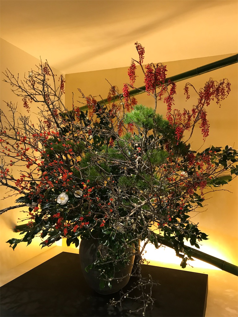 f:id:YoroCon:20200104174425j:image f:id:YoroCon:20200104174425j:image