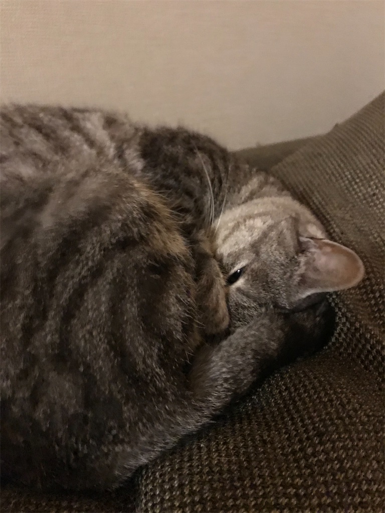 f:id:YoroCon:20200114000045j:image