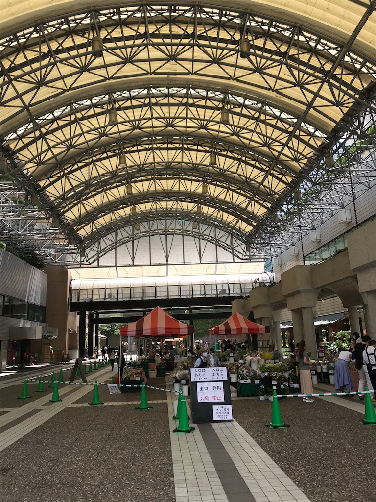 f:id:YoroCon:20200801211942j:image