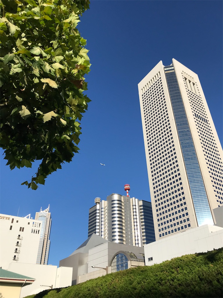 f:id:YoroCon:20200830233833j:image