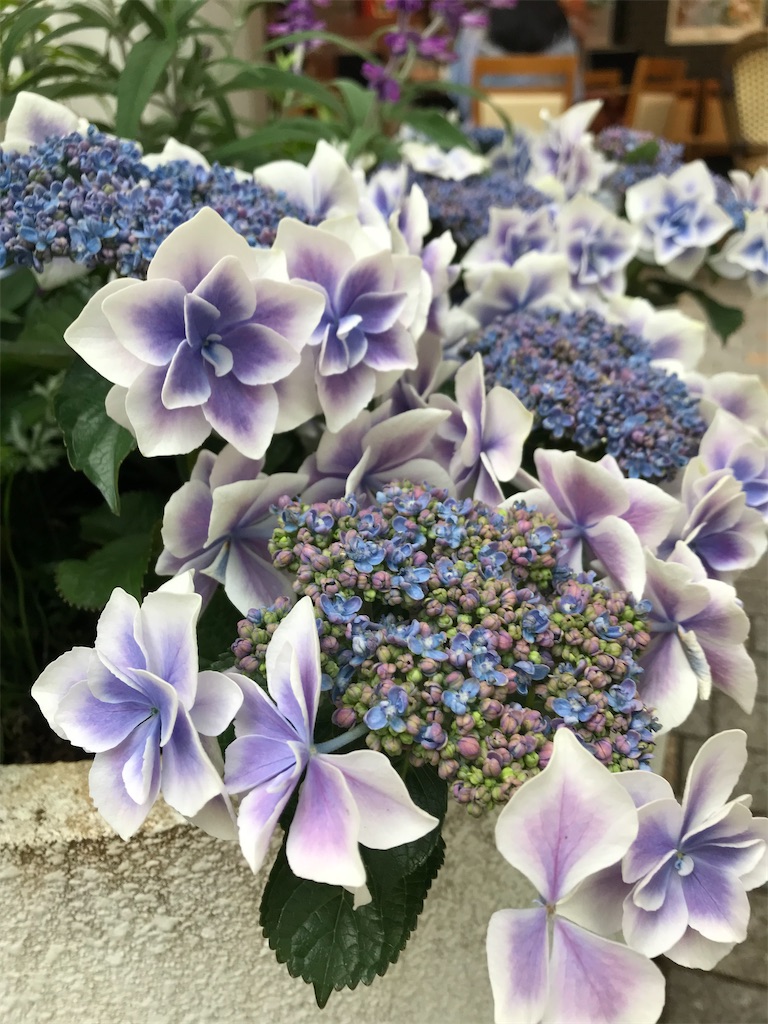 f:id:YoroCon:20210616013026j:image