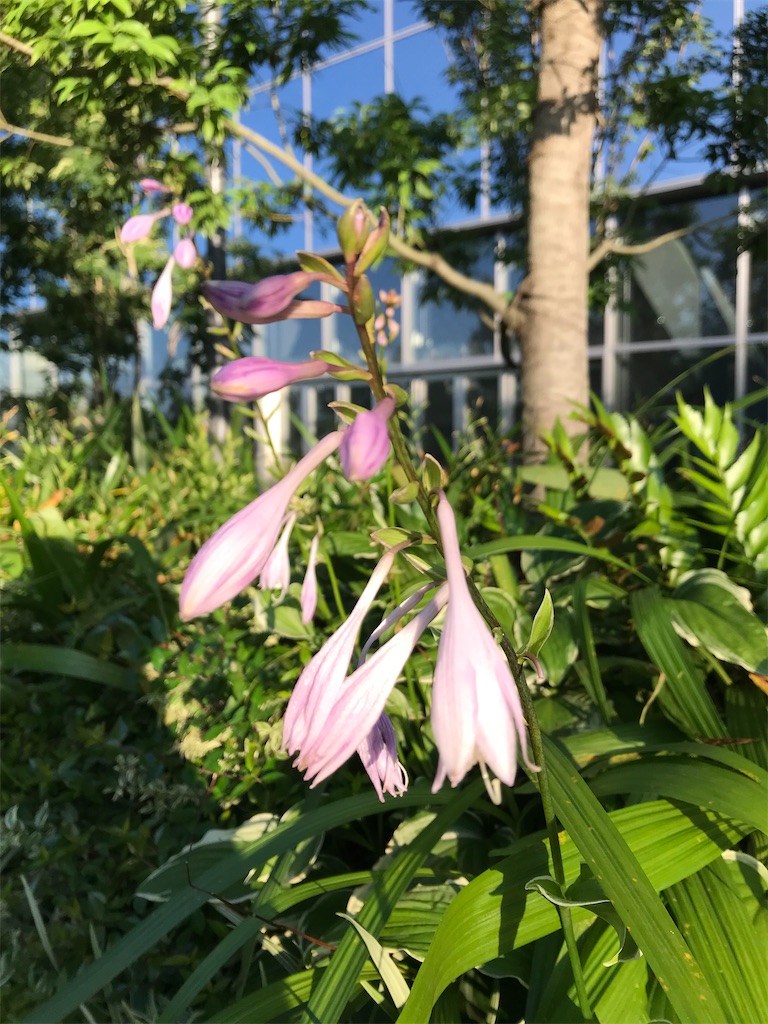 f:id:YoroCon:20210617213653j:image