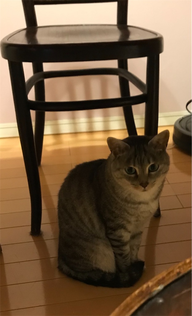 f:id:YoroCon:20210705001637j:image f:id:YoroCon:20210705001637j:image