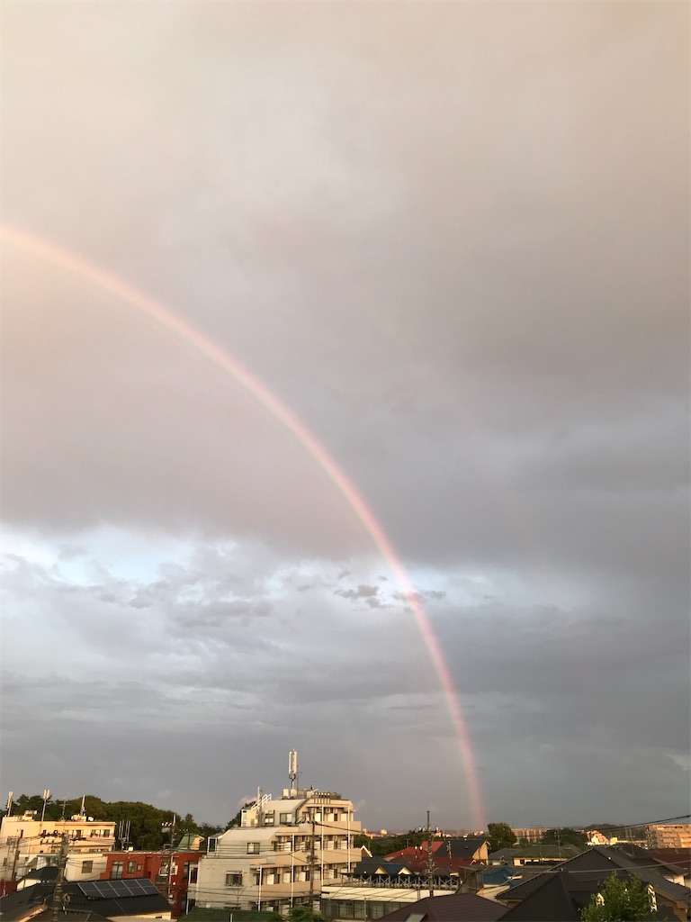 f:id:YoroCon:20210711231535j:image f:id:YoroCon:20210711231535j:image