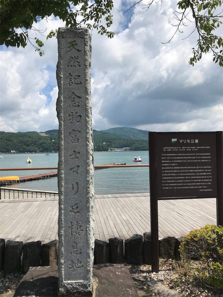 f:id:YoroCon:20210724153704j:image