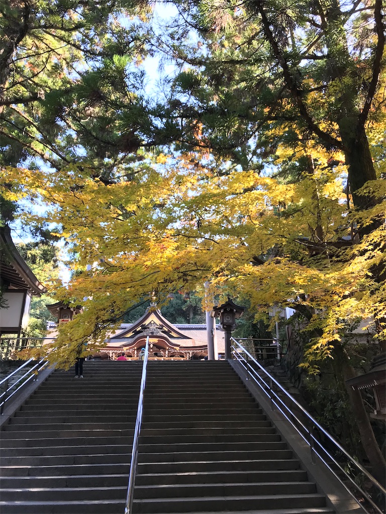 f:id:YoroCon:20210815155045j:image