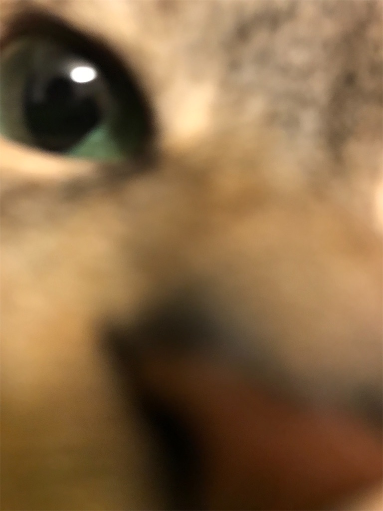 f:id:YoroCon:20210828190245j:image