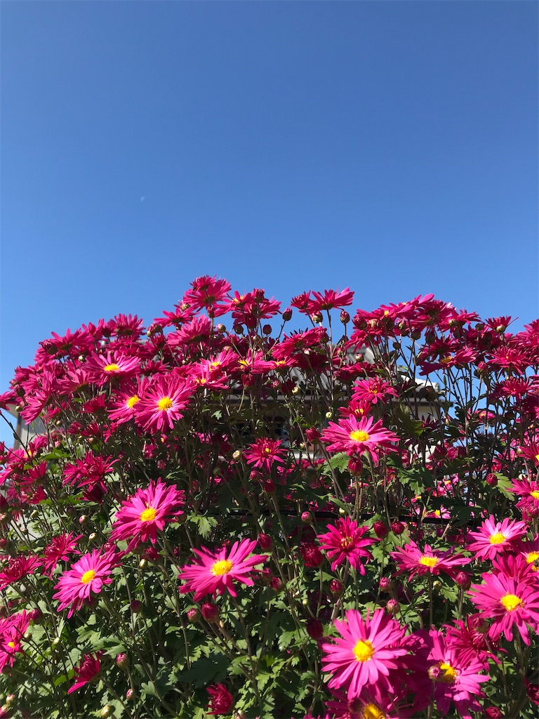 f:id:YoroCon:20211030201152j:image