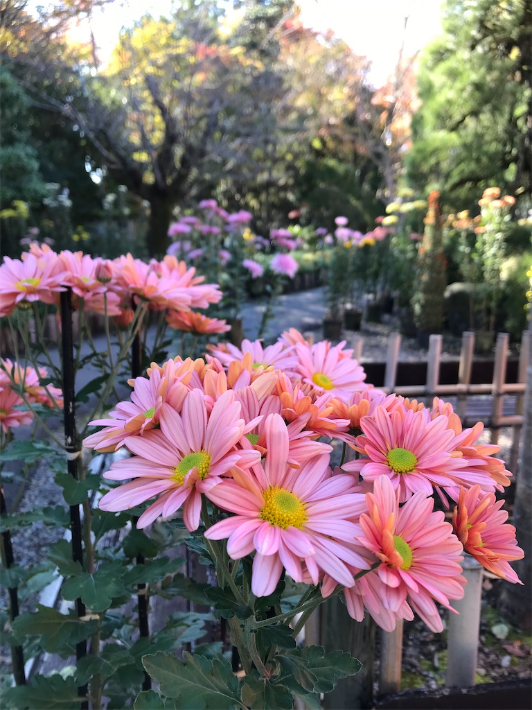 f:id:YoroCon:20211030201206j:image