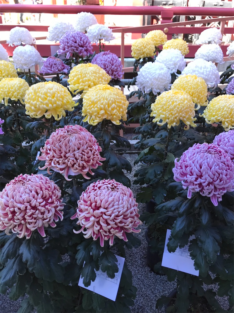 f:id:YoroCon:20211030201223j:image