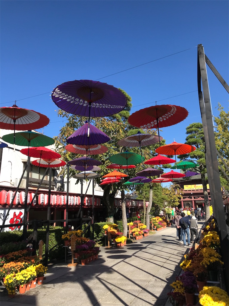 f:id:YoroCon:20211030201630j:image