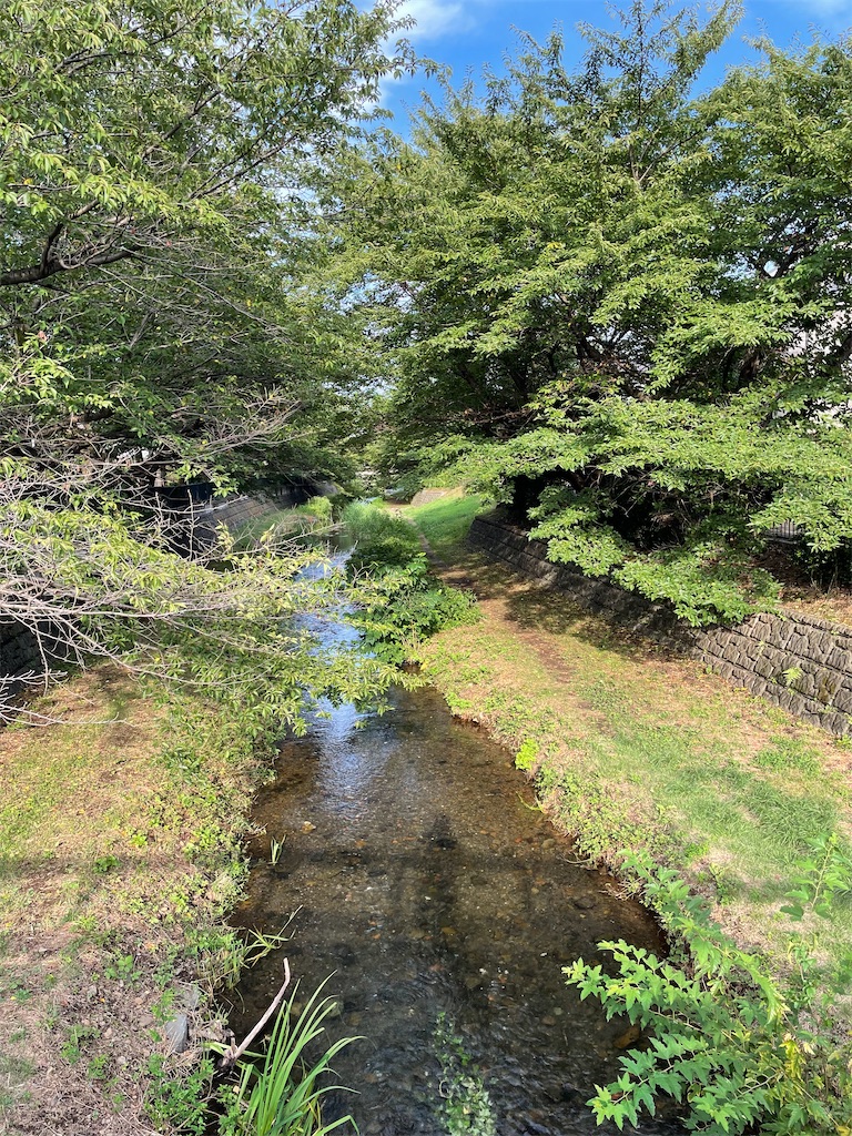 f:id:YoroCon:20220814202737j:image