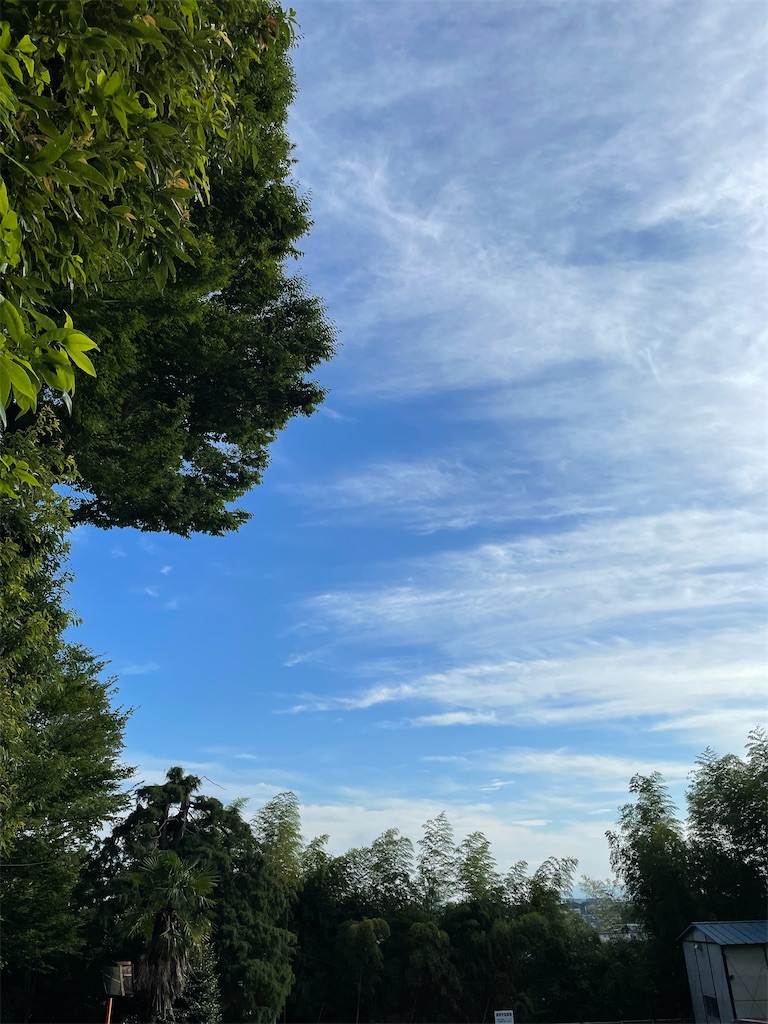 f:id:YoroCon:20220814202743j:image